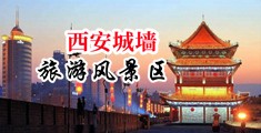 强奸农村女学生曰本AV中国陕西-西安城墙旅游风景区